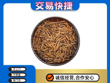 呼伦贝尔鄂温克族旗高价回收散虫草